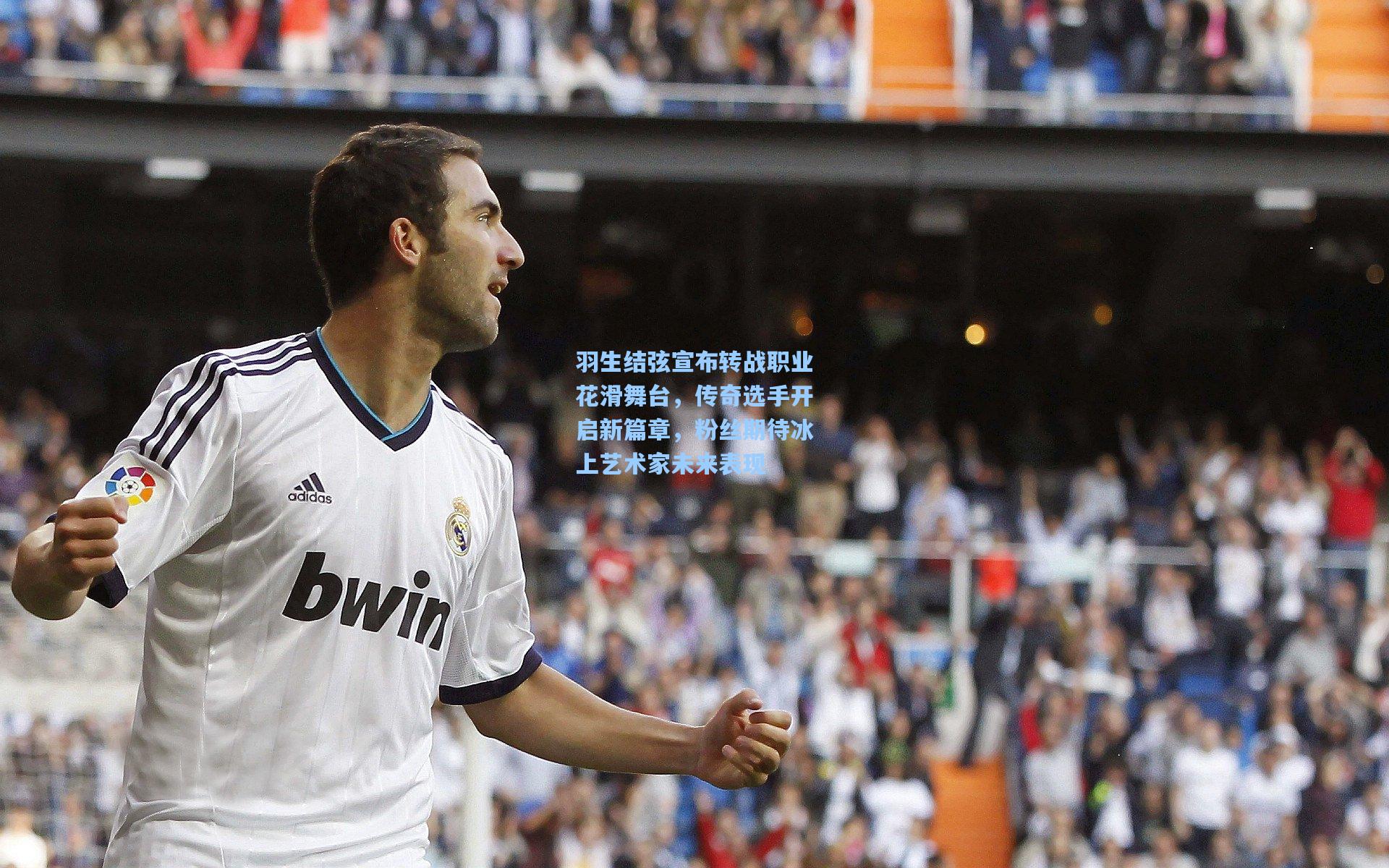 羽生结弦宣布转战职业花滑舞台,传奇选手开启新篇章,粉丝期待冰上艺术家未来表现