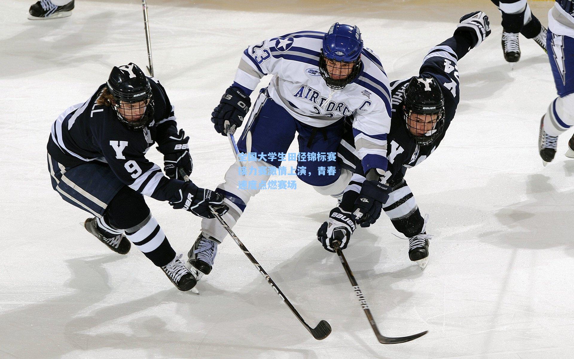 全国大学生田径锦标赛接力赛激情上演,青春速度点燃赛场