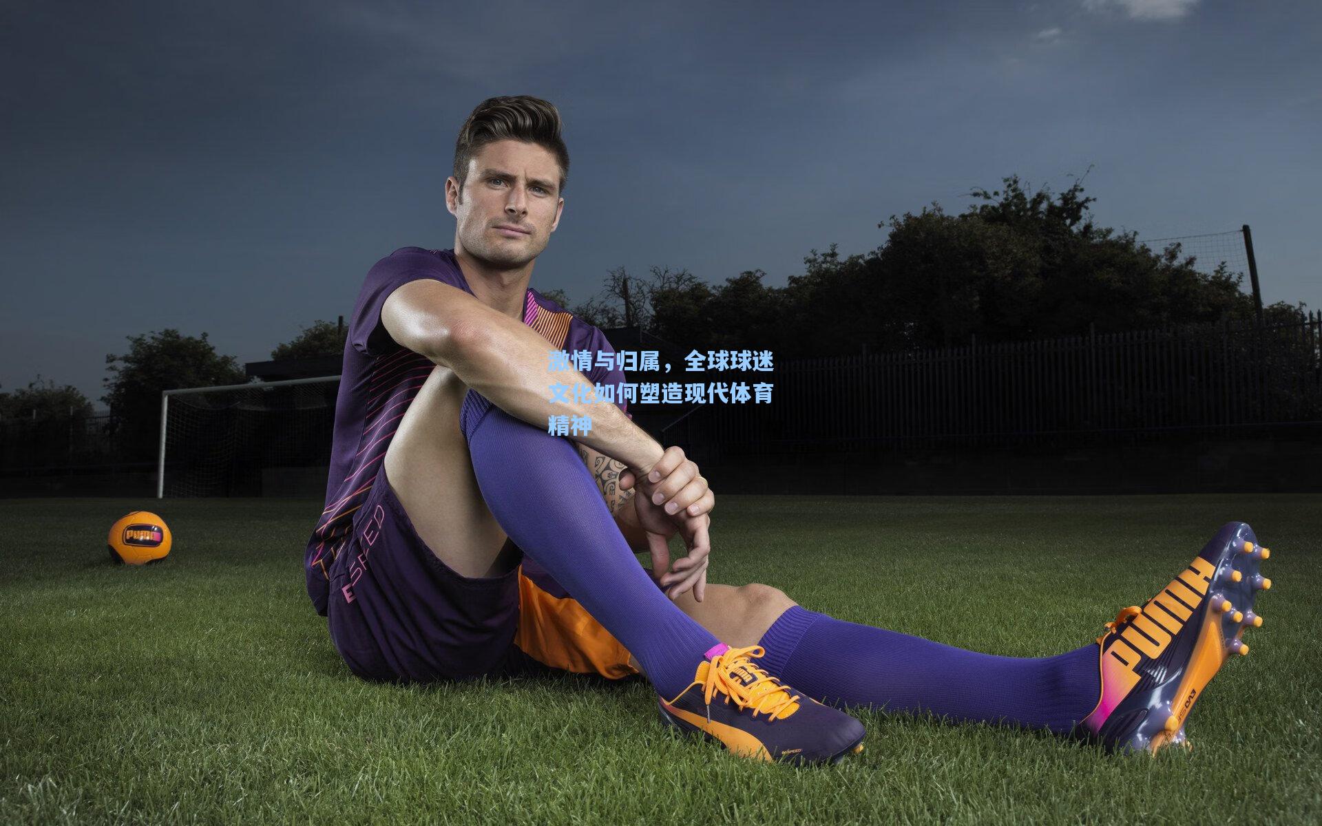 激情与归属,全球球迷文化如何塑造现代体育精神