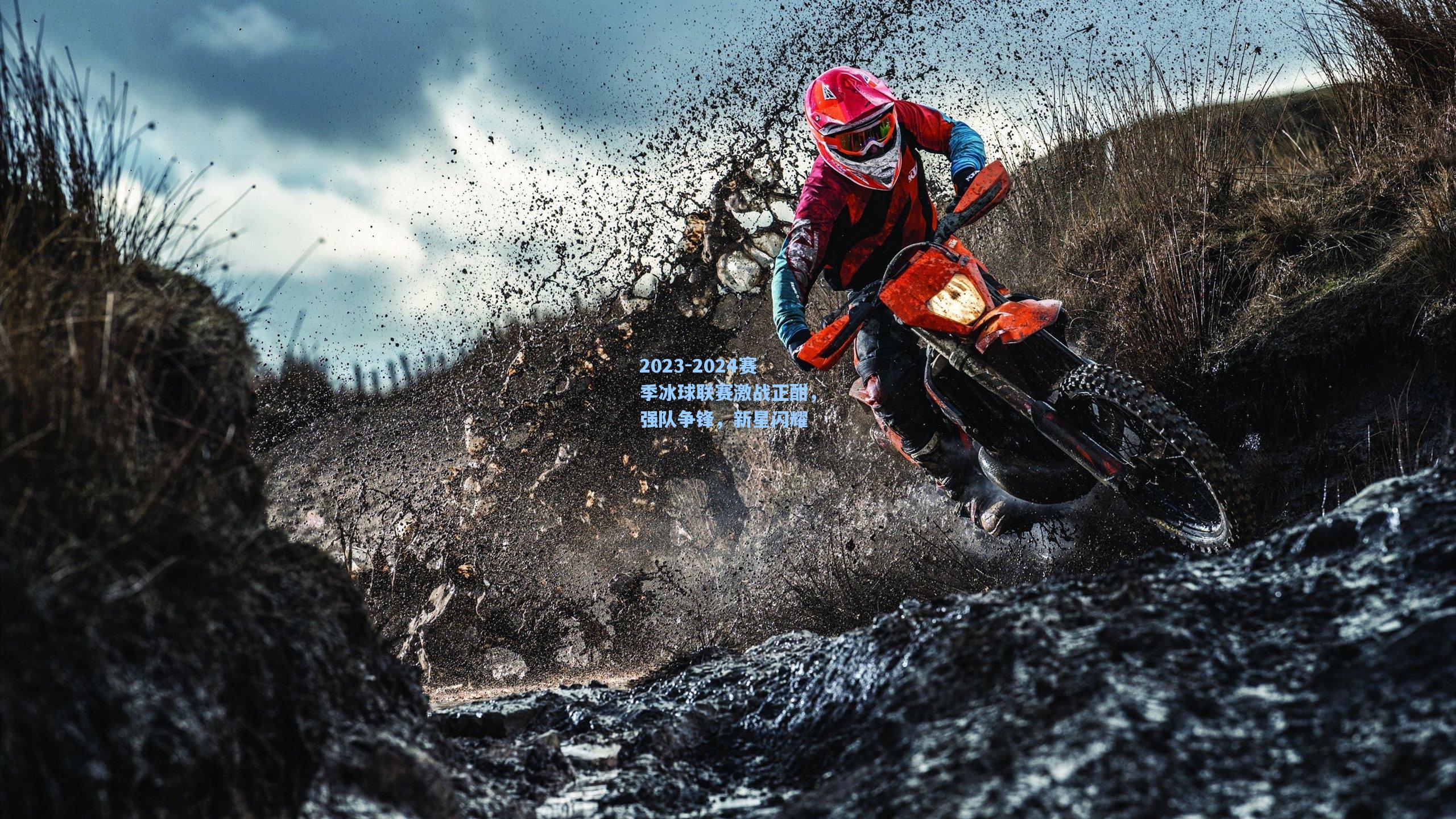 海星体育-2023-2024赛季冰球联赛激战正酣，强队争锋，新星闪耀